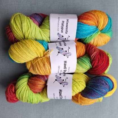 Rainbow hand dyed yarn skeins with 'Minnesota Platypus' labels on a gray background